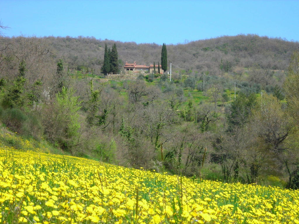Allegro Agriturismo Argiano Arezzo Ngoại thất bức ảnh