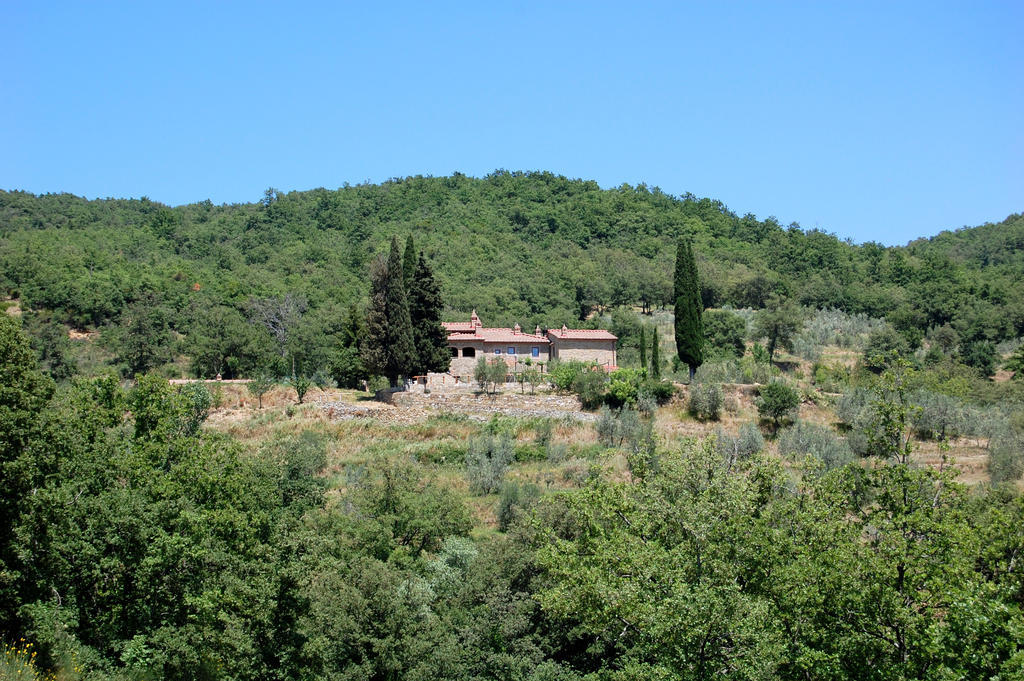 Allegro Agriturismo Argiano Arezzo Ngoại thất bức ảnh